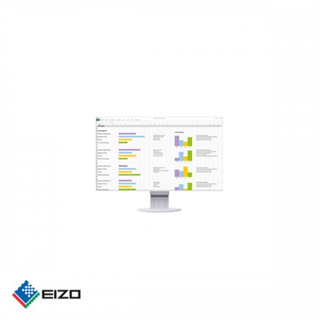 Eizo FlexScan 24" full HD professional IPS monitor Wit